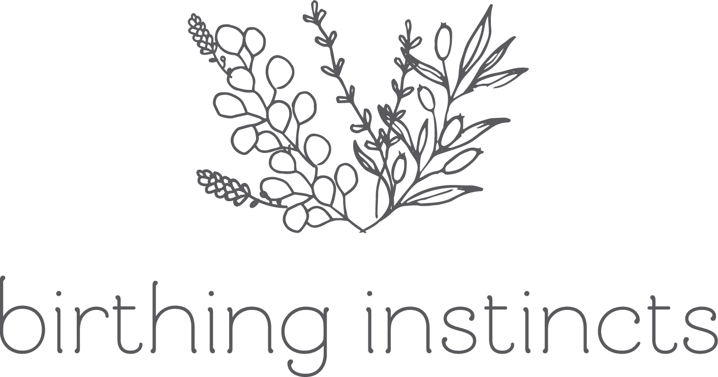 birthing-instincts-logo-full-color-rgb