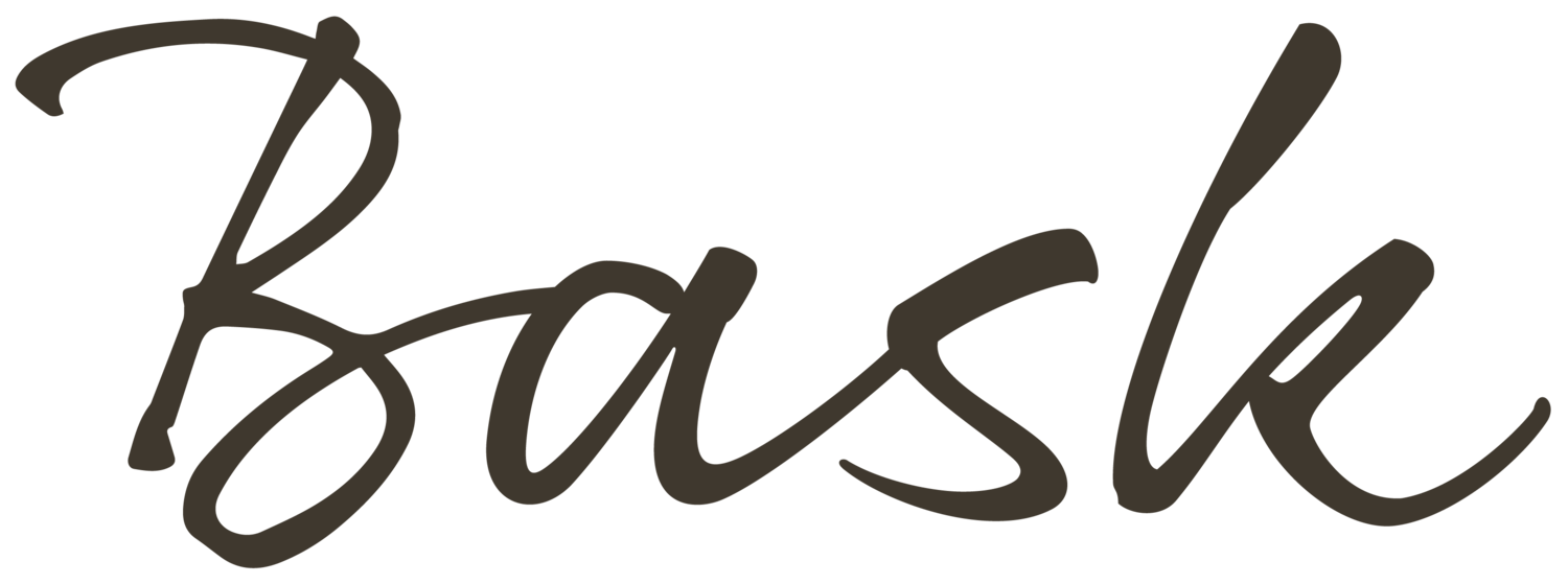 Bask_logo_logo