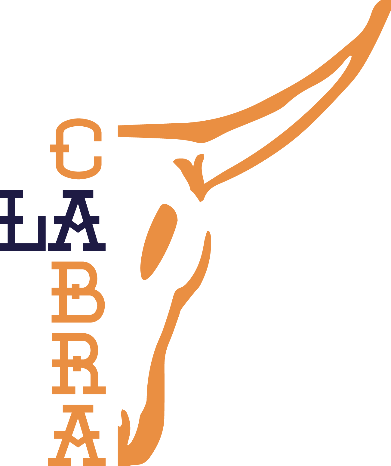 Orange-and-Blue-Logo