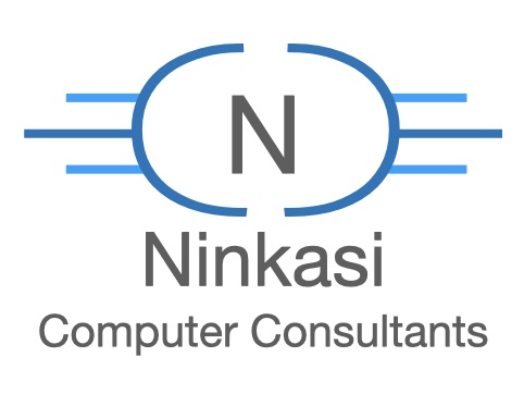 Ninkasi Computer Consultants